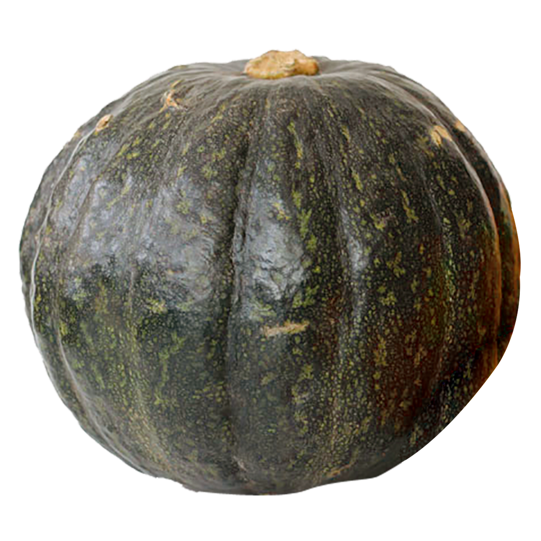 Abóbora Japonesa - 1 Unidade aprox. 2.200g