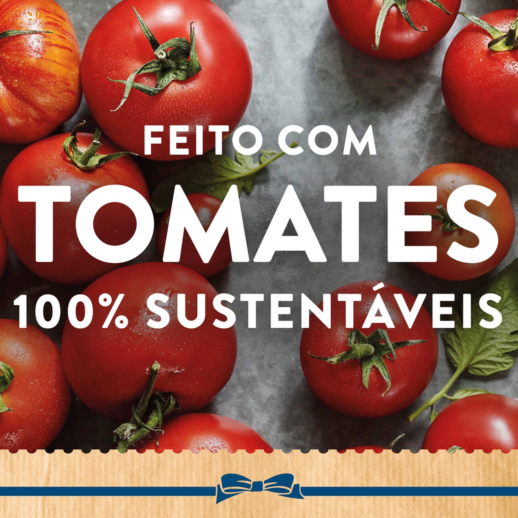 Ketchup Hellmann's Tradicional 380g